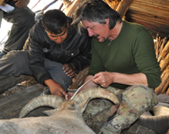 Nepal Trophy Hunting