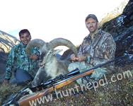 Blue Sheep and Tahr Hunting in Nepal