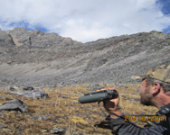 Blue Sheep and Tahr Hunting in Nepal