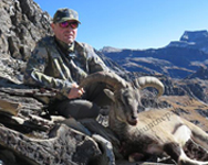 Nepal Bluesheep Hunting