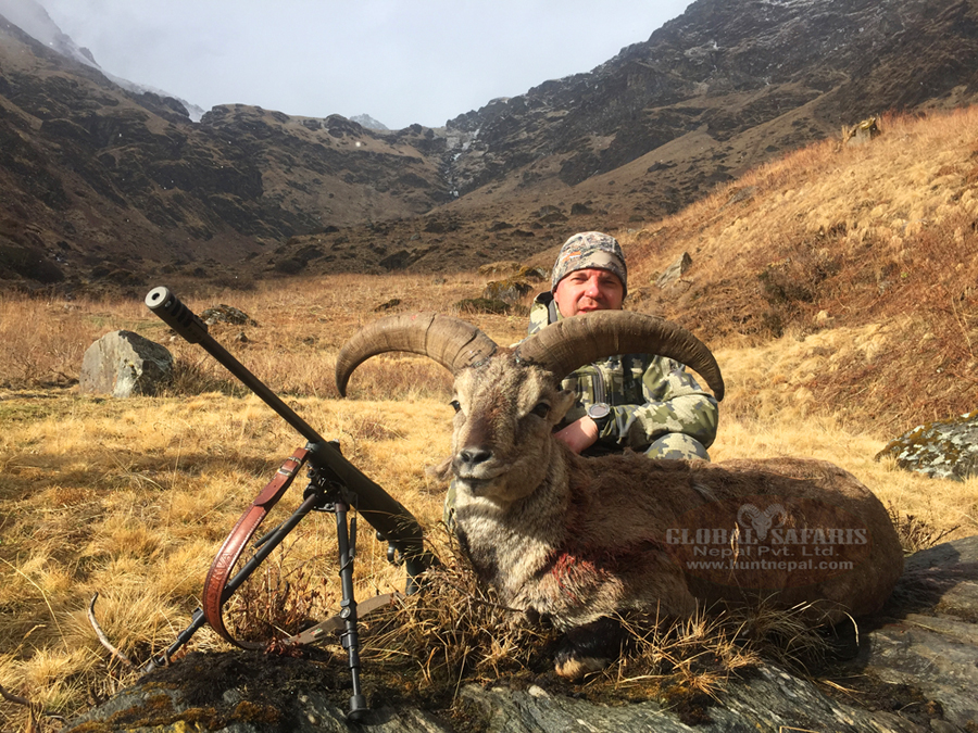Bluesheep Hunting 2018