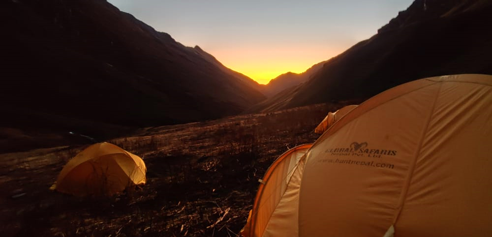 Bluesheep hunting in Nepal 2019 