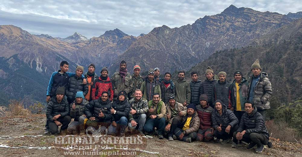 Bluesheep hunting Bluesheep and Himalayan