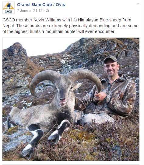 Bluesheep hunt 2017