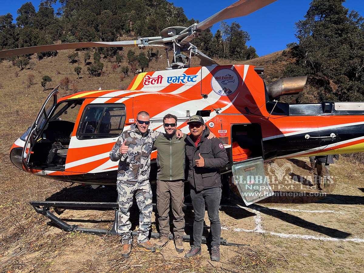 Bluesheep and Himalayan