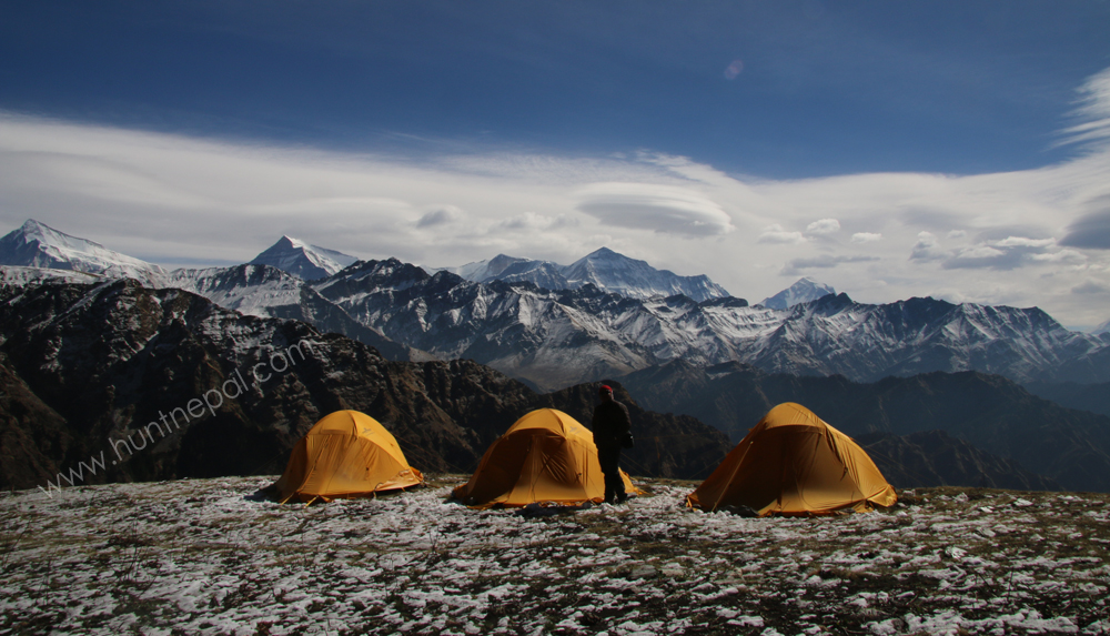 Bluesheep Hunting 2016