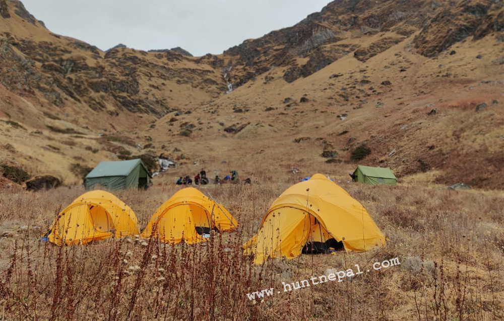 Himalayan bluesheep hunting Camp