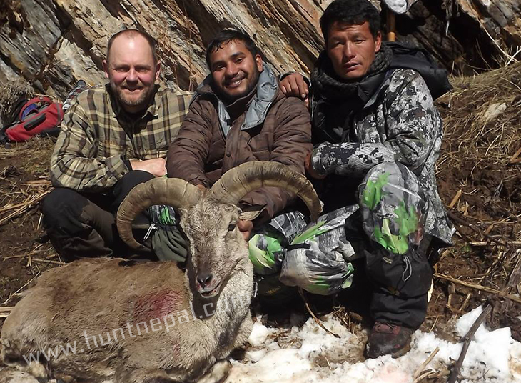 Nepal Bluesheep Hunting April 2015