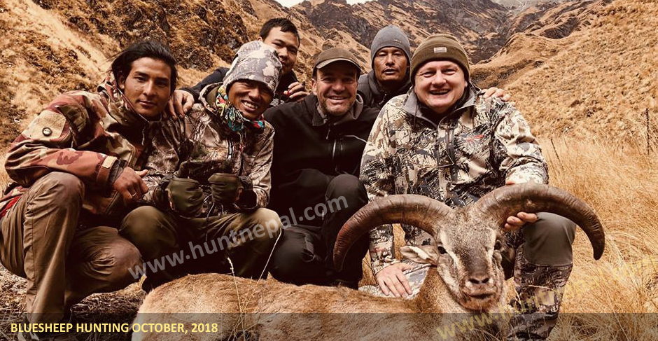 Nepal bluesheep hunting 2018