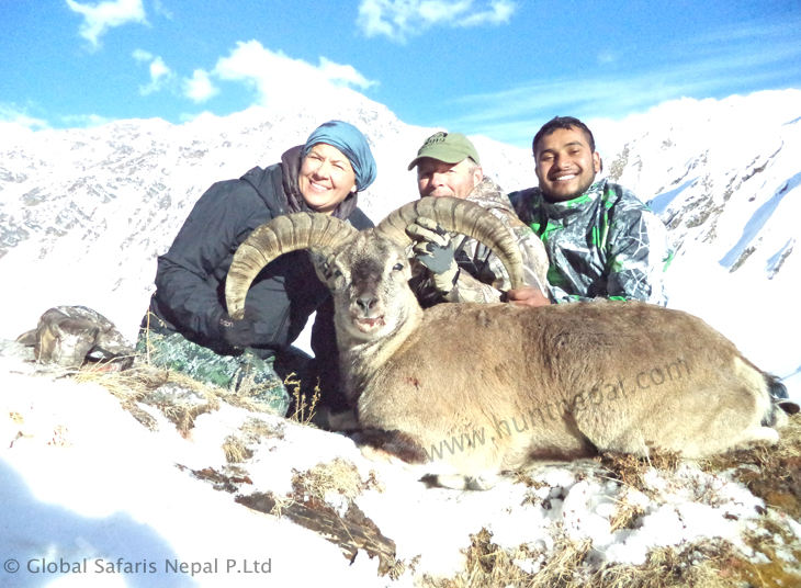 Bluesheep Hunting in Nepal