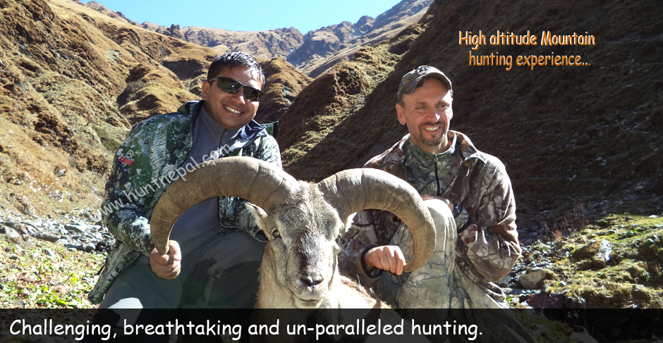 Bluesheep Hunting in Nepal