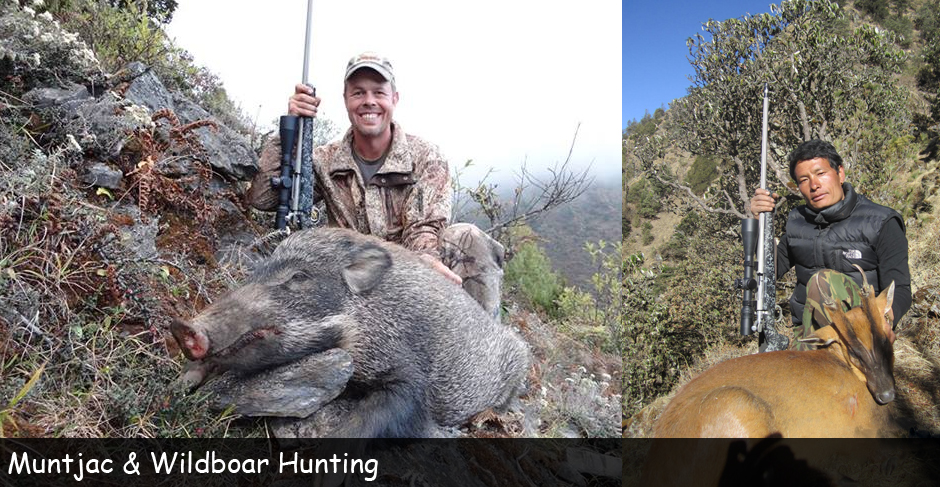 Nepal Trophy Hunting