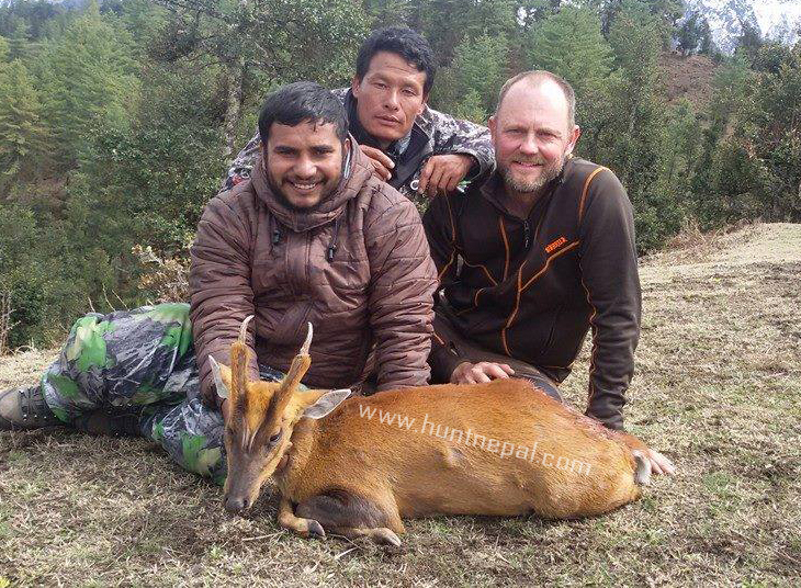 Muntjack hunt 2015
